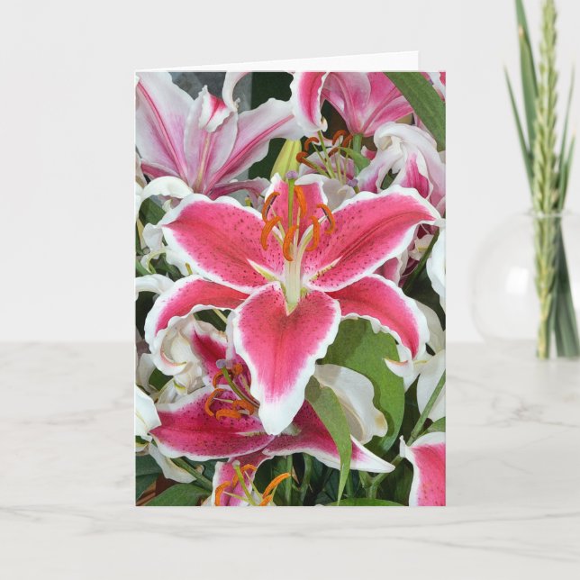 Cartão Pink stargazer lily flowers greeting card (Frente)