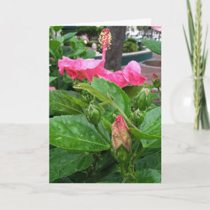 Cartão Pink Tropical Hibiscus Flower Camouflaged Lizard
