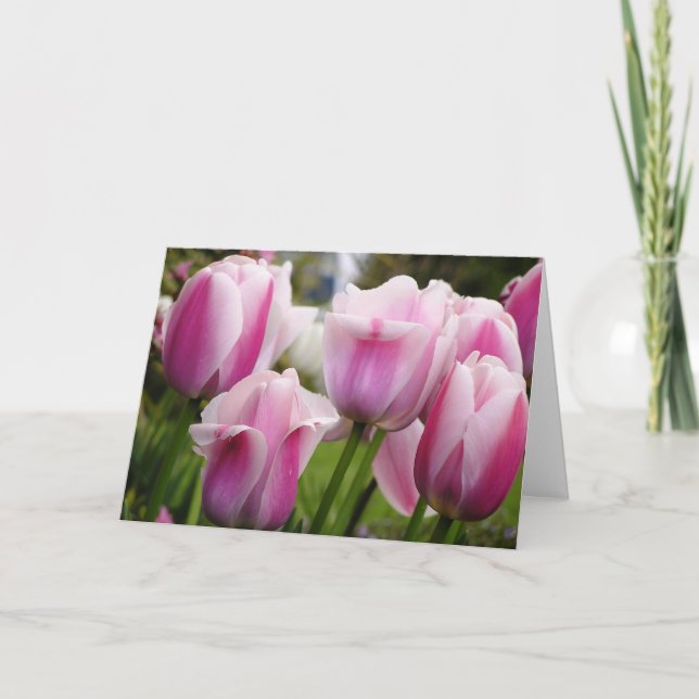 Cartão Pink Tulips card (Frente)