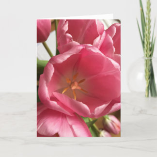 Cartão Pink Tulips Greeting Card
