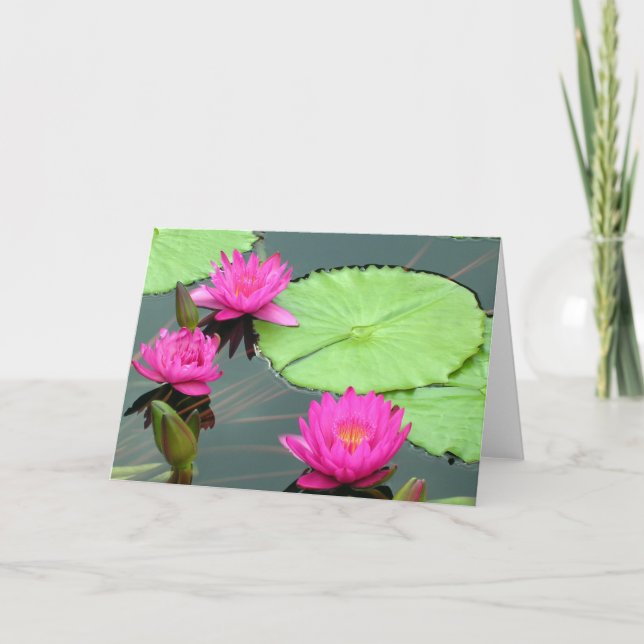 Cartão Pink Water Lilies (Frente)