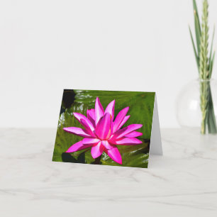 Cartão Pink Water Lily Waterlily Note Card