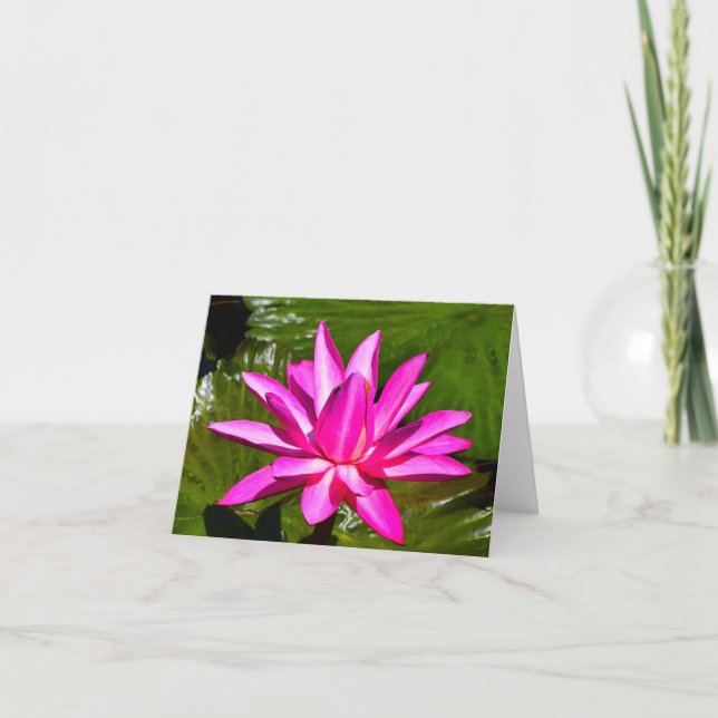 Cartão Pink Water Lily Waterlily Note Card (Frente)