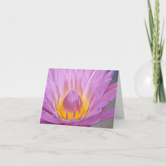 Cartão Pink Waterlily Notecard