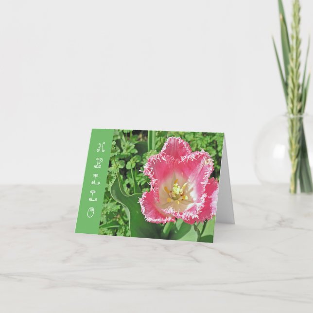CARTÃO "PINK & WHITE TULIP COM FRINGE / HELLO" (Frente)