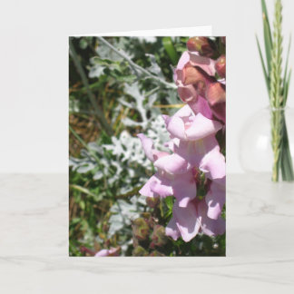 Cartão Pinks! Greeting Card