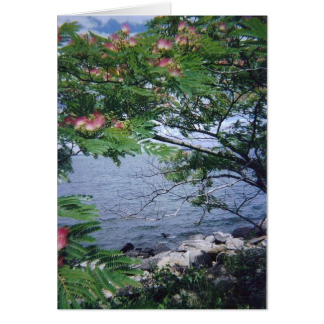 Cartão pinktreewaterview 001 (Frente)