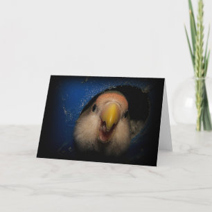 Cartão Pinky Lovebird Greeting Card