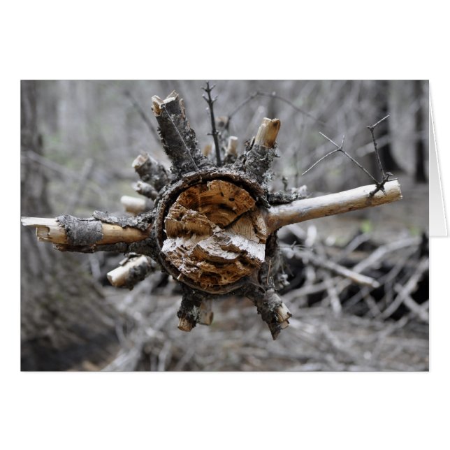 Cartão Pino quebrado (Frente Horizontal)