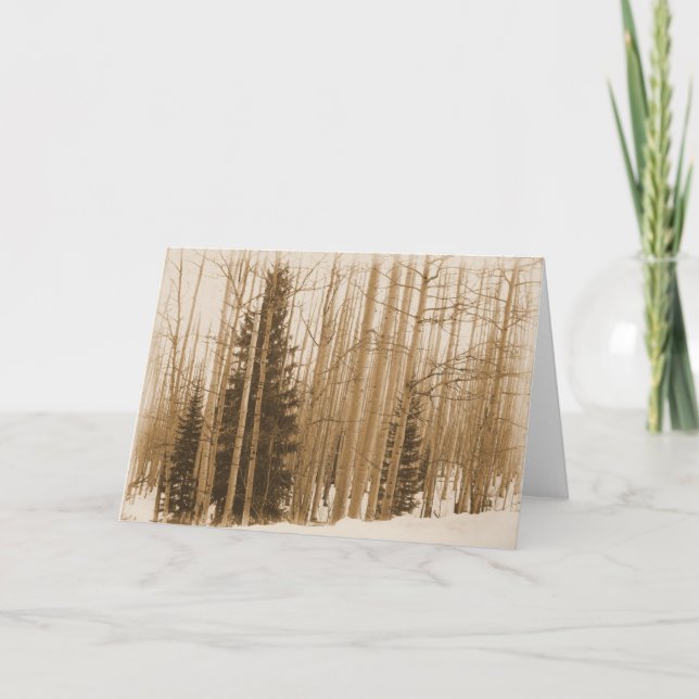 Cartão Pinos na placa de saudação Mix - Vazio do Dentro (Frente)