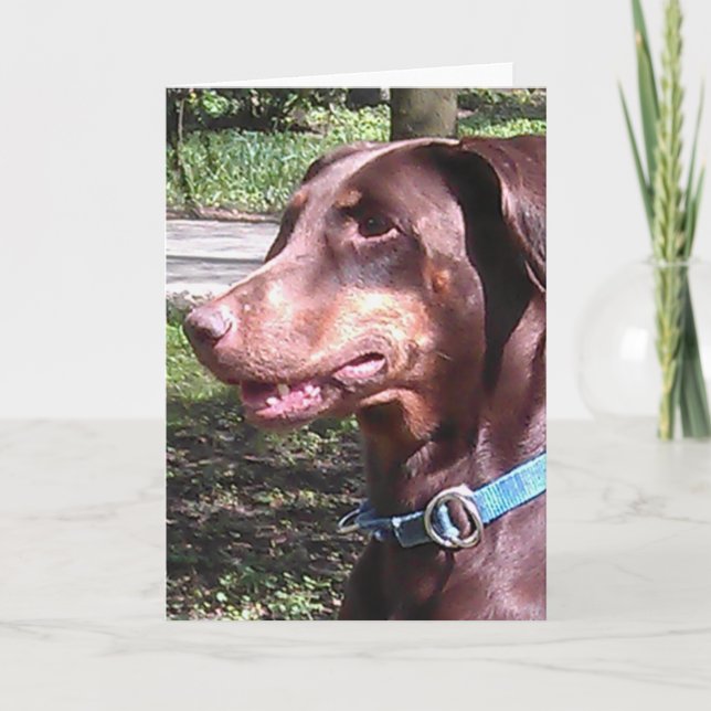 Cartão Pinscher Dobermann Vermelho (Frente)