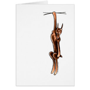 Cartão Pinscher vermelho Clingy do Doberman da oxidação