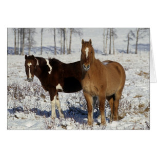 Cartão Pinte cavalos na neve