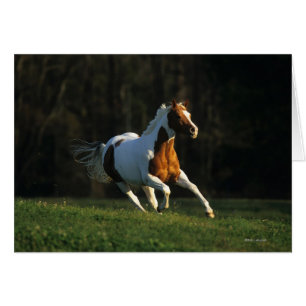 Cartão Pinte o cavalo que funciona rapidamente
