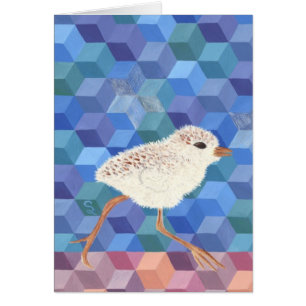 Cartão Pintinho da tarambola nevado