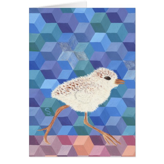 Cartão Pintinho da tarambola nevado (Frente)