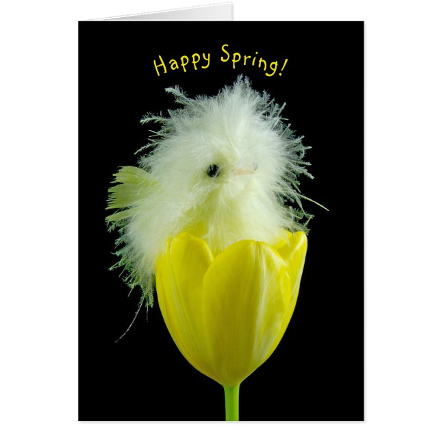 Cartão Pintinho de bebê em tulipa amarela (Frente)