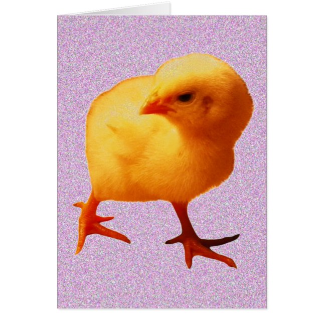 Cartão Pintinho Em Movimento (Frente)