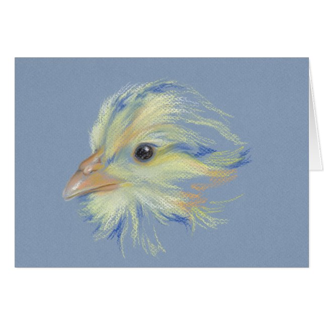 Cartão Pintinho Plymouth Barred Rock (Frente Horizontal)