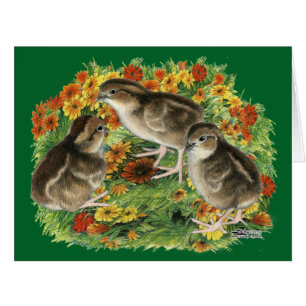 Cartão Pintinhos Bobwhite Garden