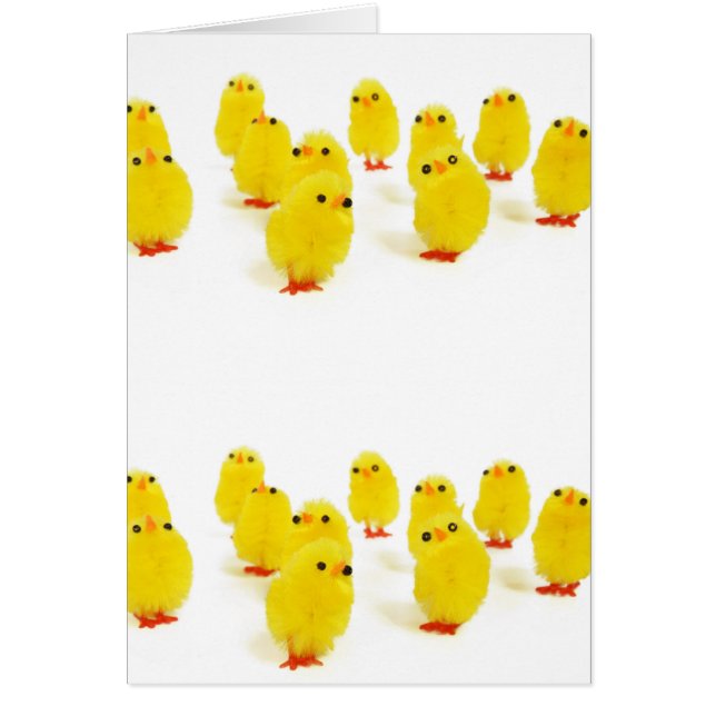 Cartão pintinhos bonitos (Frente)