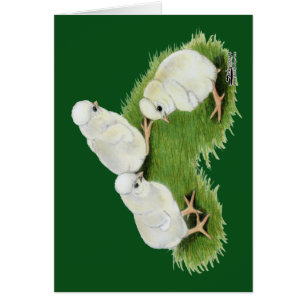 Cartão Pintinhos de abertura poloneses