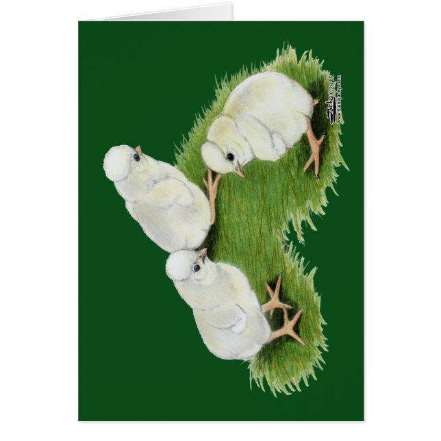 Cartão Pintinhos de abertura poloneses (Frente)