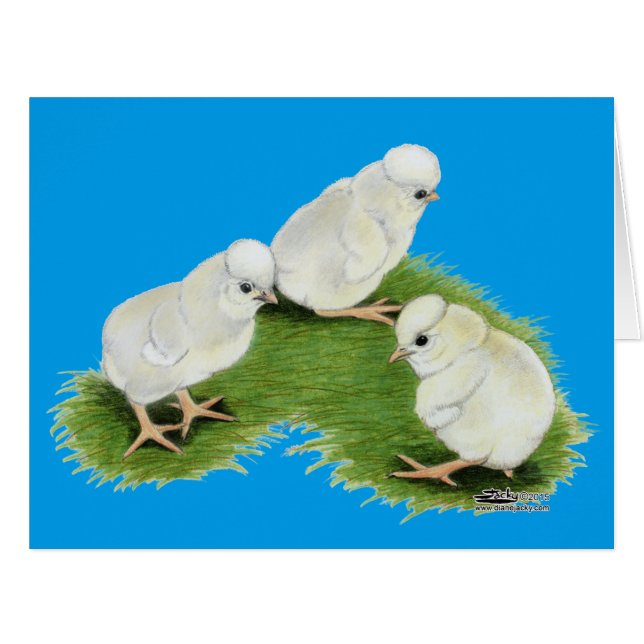 Cartão Pintinhos de abertura poloneses (Frente horizontal)