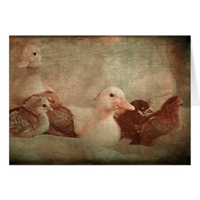 Cartão Pintinhos e Ducklings (Frente Horizontal)