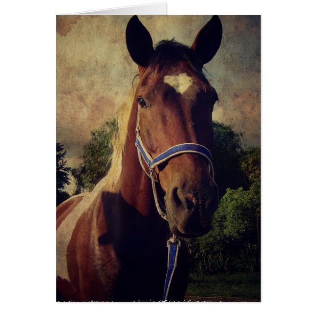 Cartão Pinto (Frente)