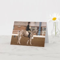 Pinto Cavalo de Dressage