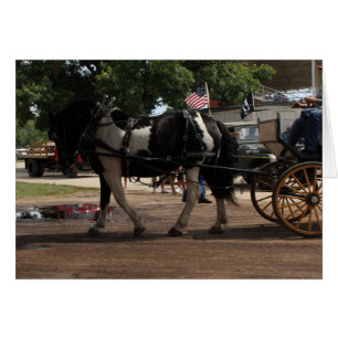 Cartão Pinto Cavalo de Rascunho
