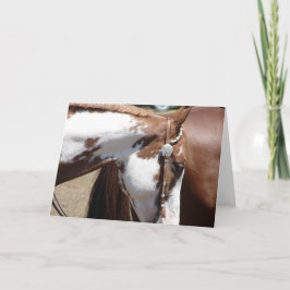 Cartão Pinto Cavalo Ocidental