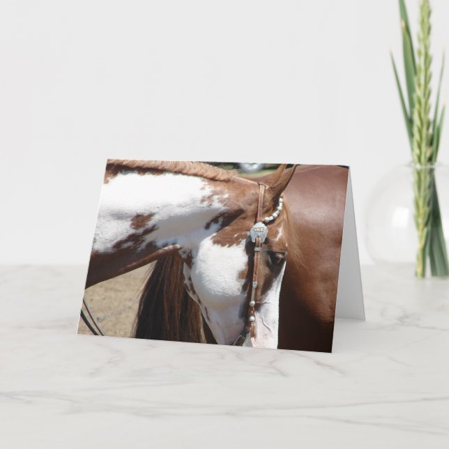 Cartão Pinto Cavalo Ocidental (Frente)