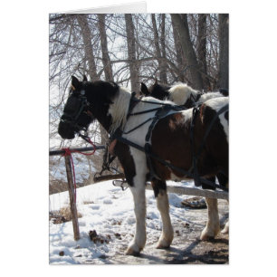 Cartão Pinto Cavalos de Rascunho