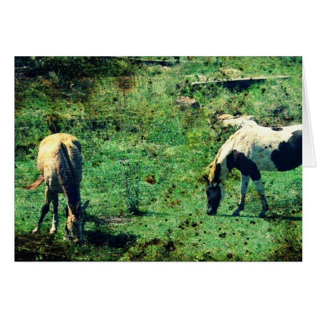 Cartão Pinto-de-bico e Pinto (Frente Horizontal)