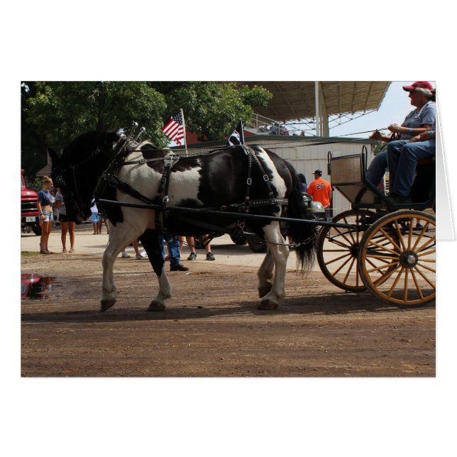 Cartão Pinto Draft Horse 2018 Mt. Pleasant, Iowa (Frente Horizontal)