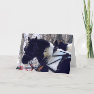 Cartão Pinto Draft Horses, Aniversário