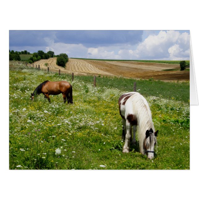 Cartão Pinto E Graze De Castanha (Frente horizontal)