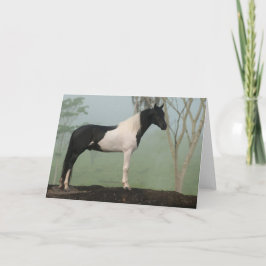 Cartão Pinto Horse