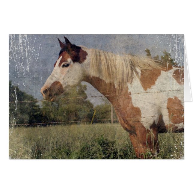 Cartão Pinto Horse Grunge (Frente Horizontal)