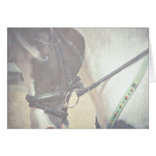 Cartão Pinto na Tack