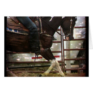 Cartão Pinto Ocidental