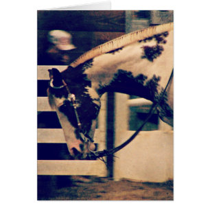 Cartão Pinto Ocidental