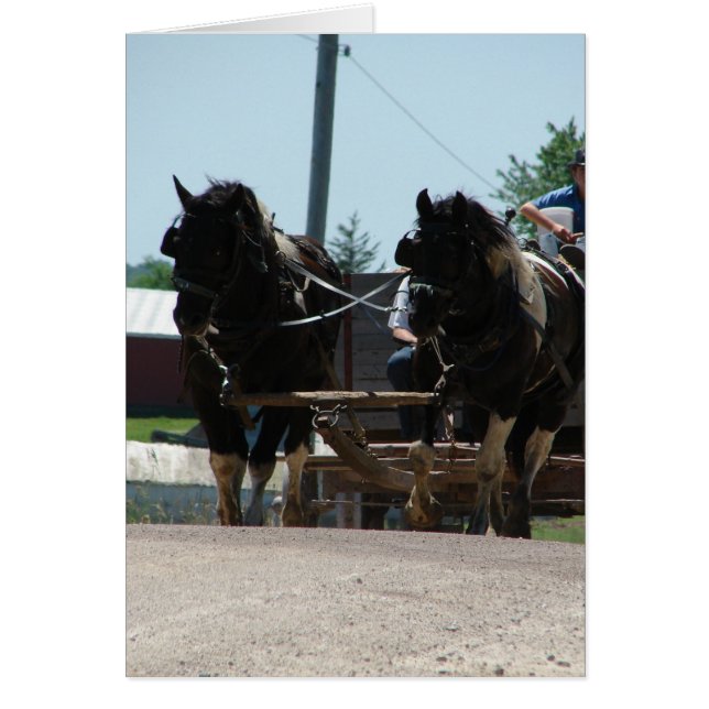 Cartão Pinto Rascunho Par (Frente)