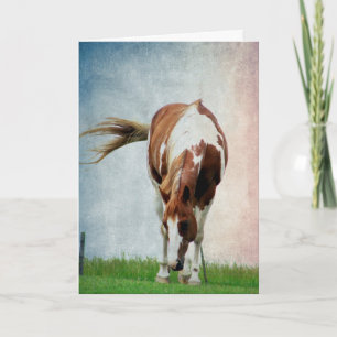 Cartão Pintopferd, Alles Gute Zum Geburtstag