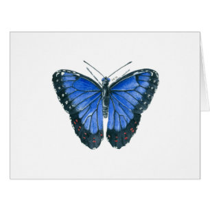 Cartão Pintor aquoso da borboleta Azul Morpho