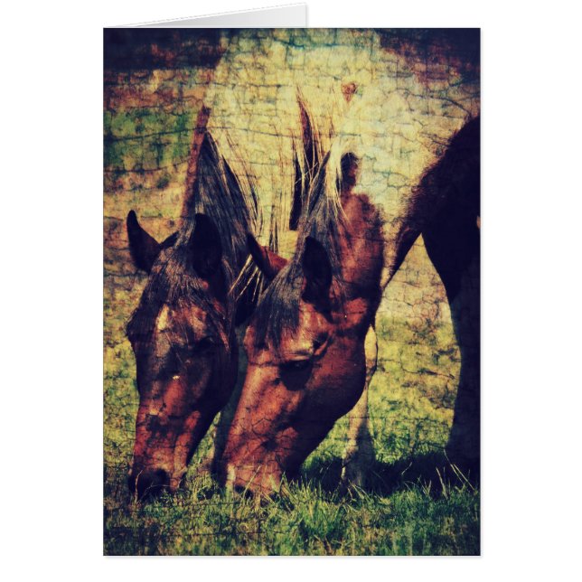 Cartão Pintos (Frente)