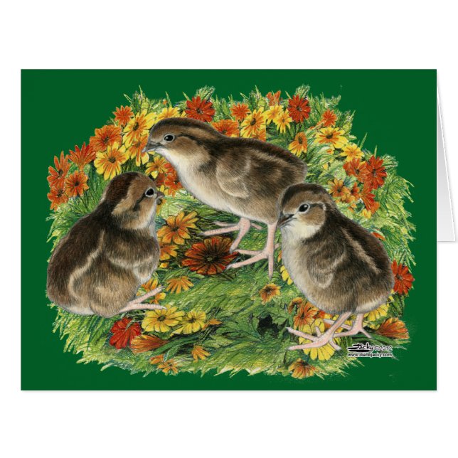 Cartão Pintos de Jardim de Bobwhite (Frente horizontal)