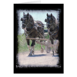 Cartão Pintos de trabalho